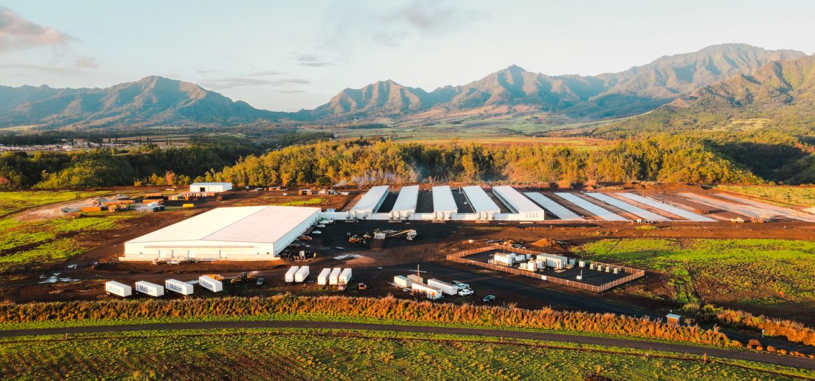 Waialua Fresh - Villa Rose Egg Farm - O’ahu, Hawaii