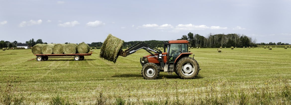 Township of Wainfleet - Southern Niagara Region