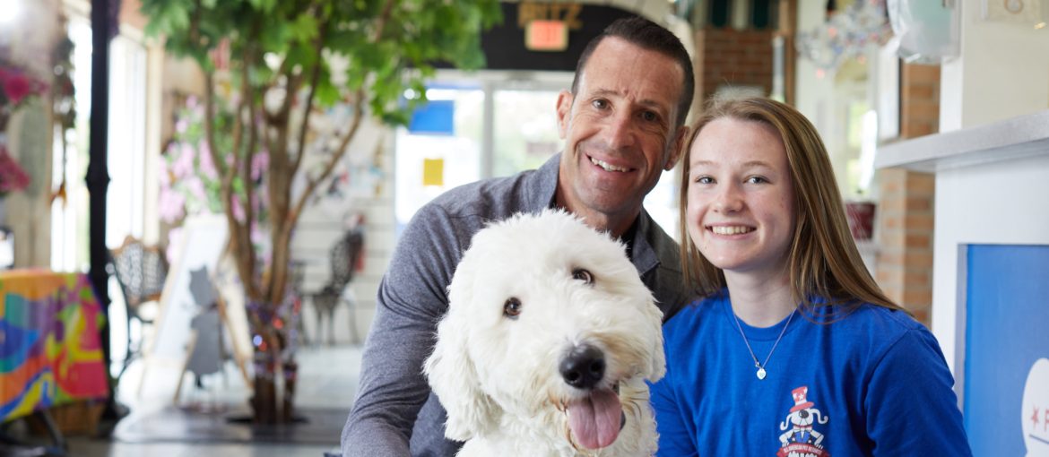 All American Pet Resorts - Novi, Michigan