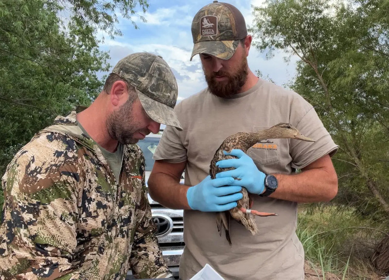 CTL Engineering - Columbus, Ohio