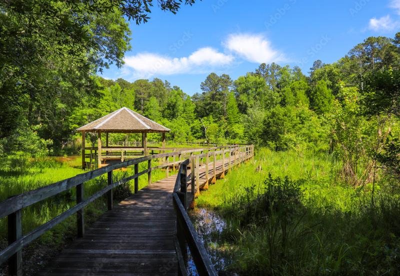 Hampton, Georgia - Henry County