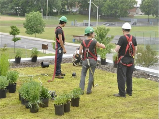 Clarence-Rockland, Ontario