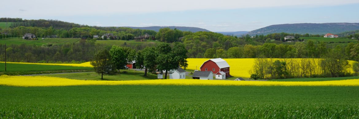 North Whitehall Township, Pennsylvania - Lehigh Valley