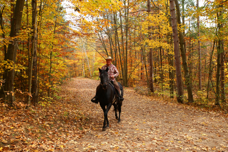 Whitchurch-Stouffville, Ontario - Regional Municipality of York